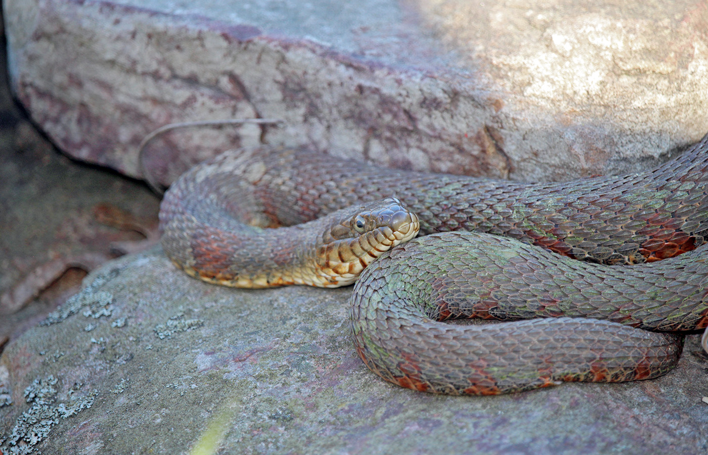 garden-gallery_Apr25_14x9-g