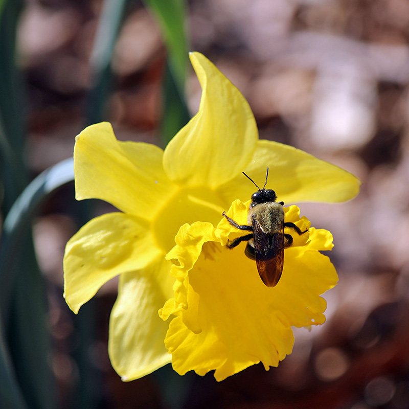 garden-gallery_Apr25_8x8-a