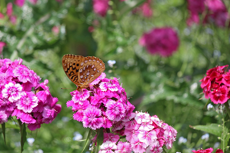 Gallery-b_Jun25_900x600