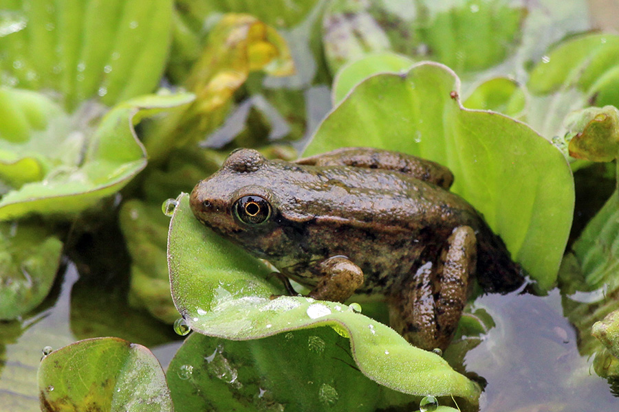 Gallery-d_Jun25_900x600