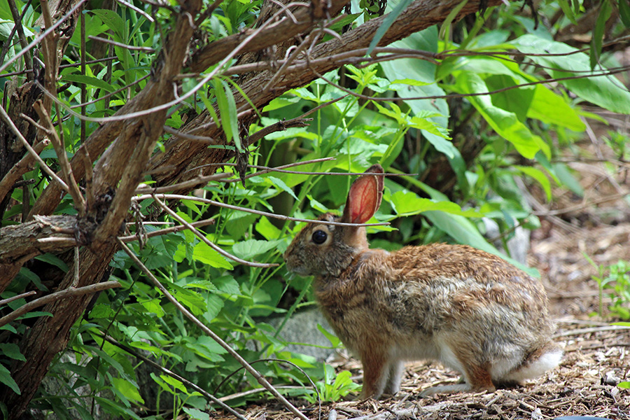 Gallery-f_Jun25_900x600