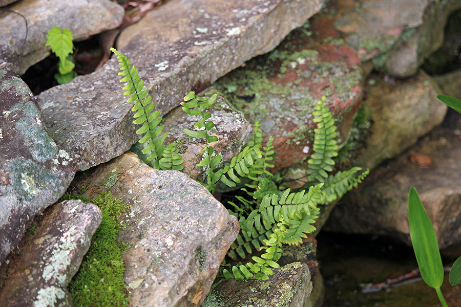 Gallery-i_Jun25_900x600