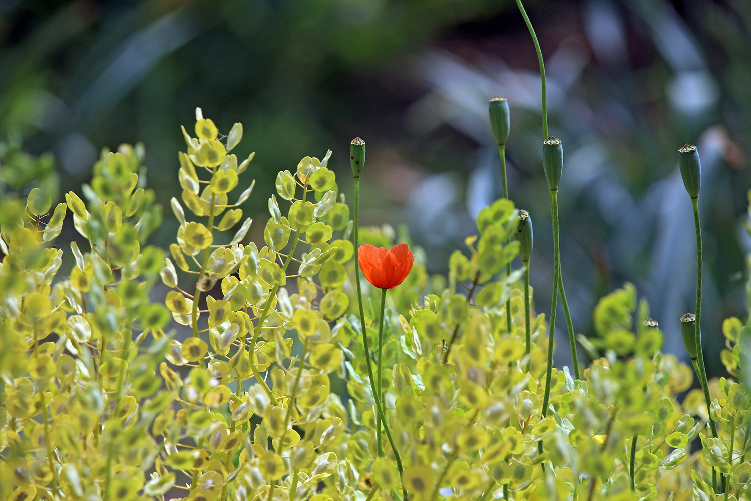 gallery-a_Jun25_1500x1000