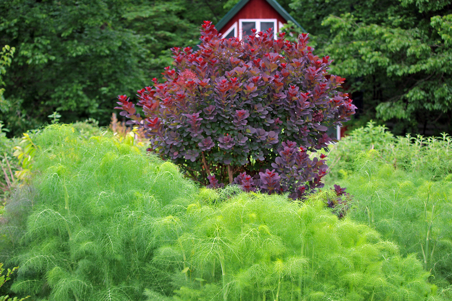 gallery-b_Jun25_1500x1000