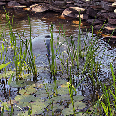 Now Appearing! ~ May 2025