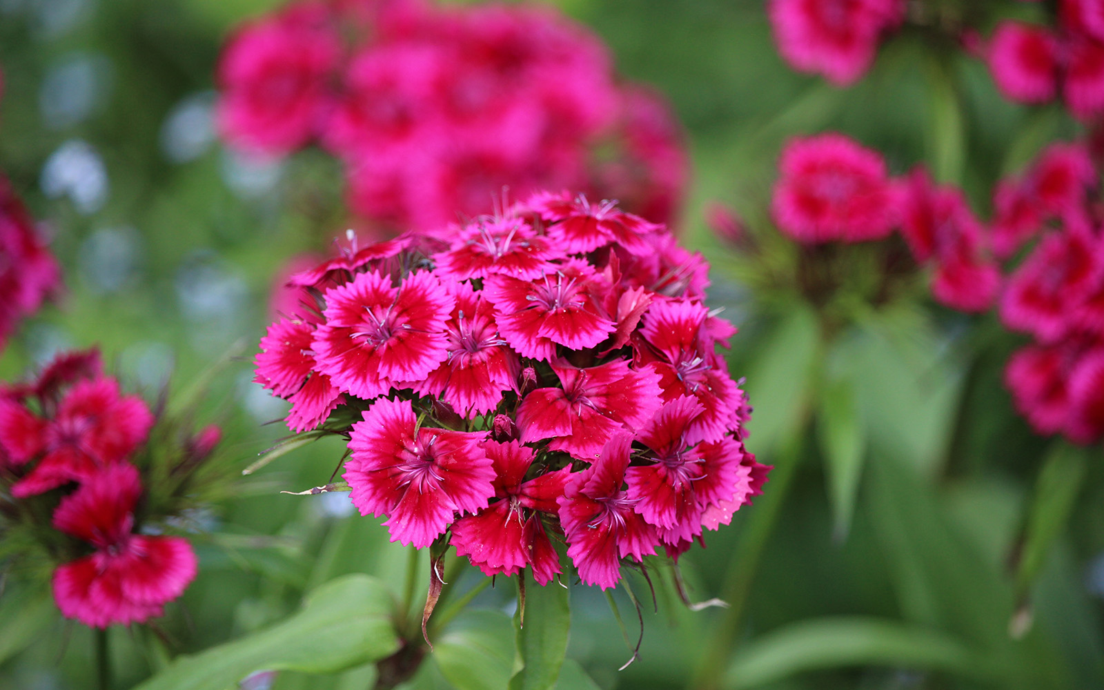 May-Gallery_1_1600x1000