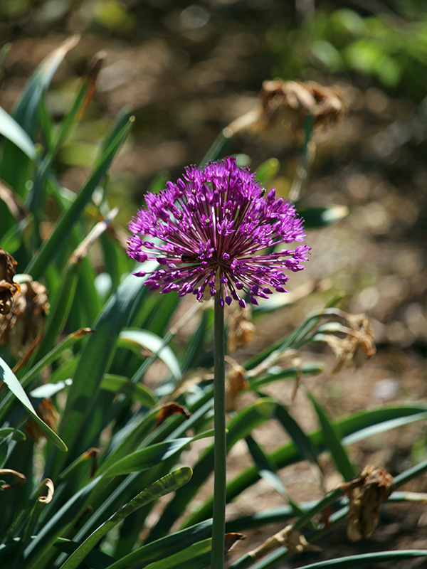 May-Gallery_1_600x800