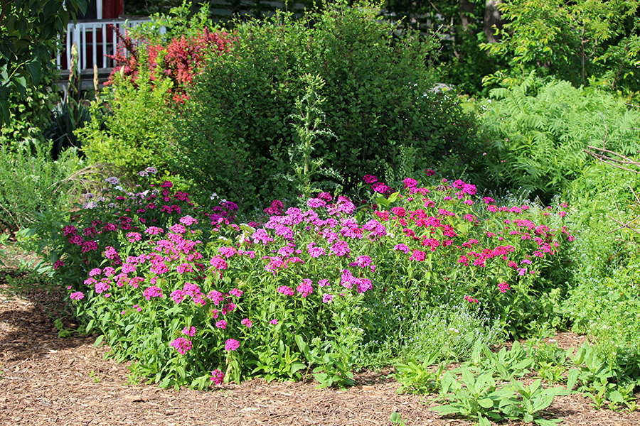 May-Gallery_1_900x600