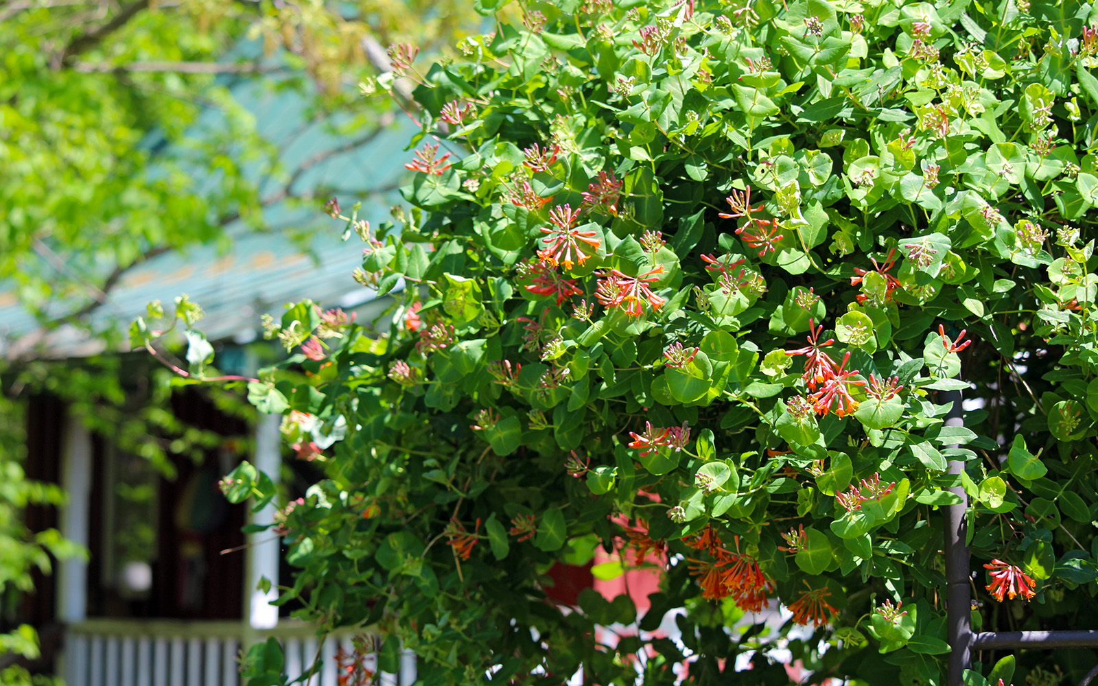 May-Gallery_2_1600x1000