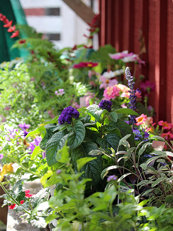 May-Gallery_2_600x800