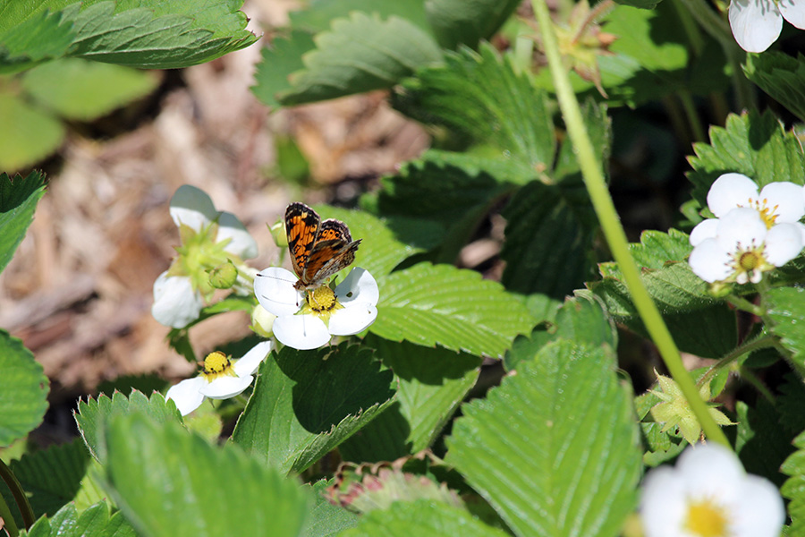 May-Gallery_3_900x600