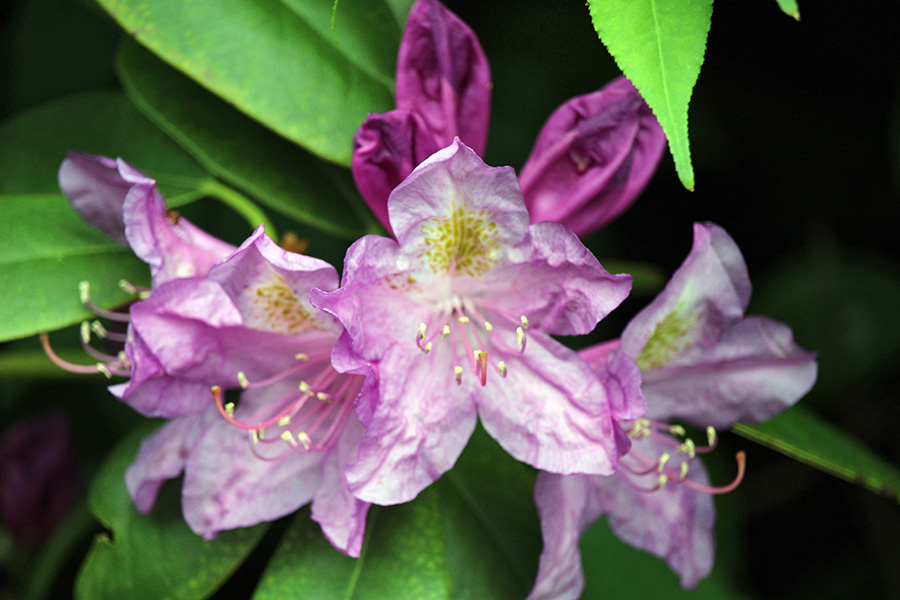 May-Gallery_4_900x600