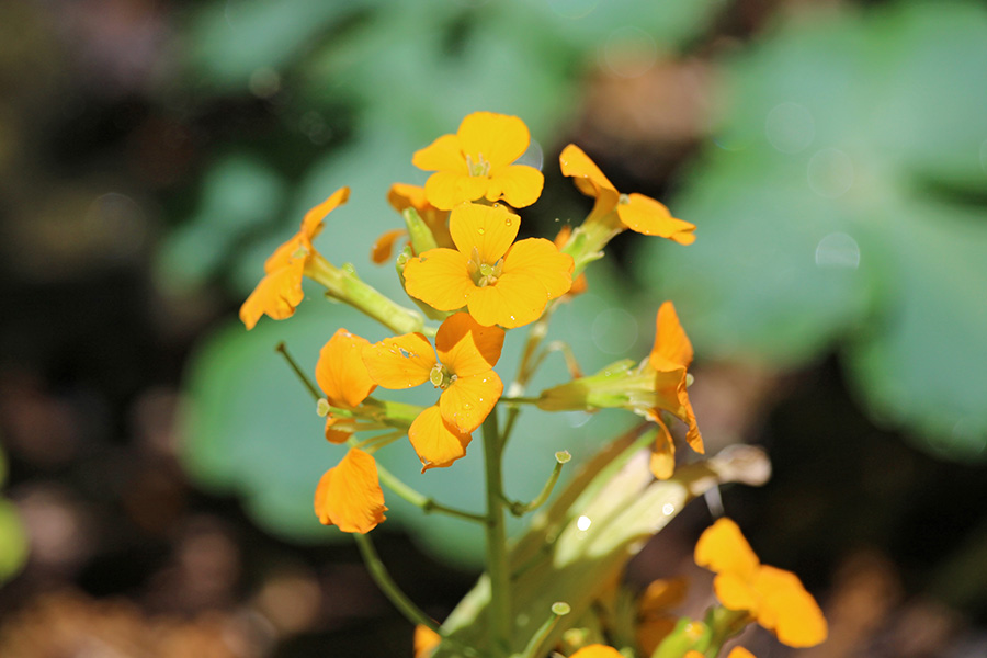 May-Gallery_5_900x600