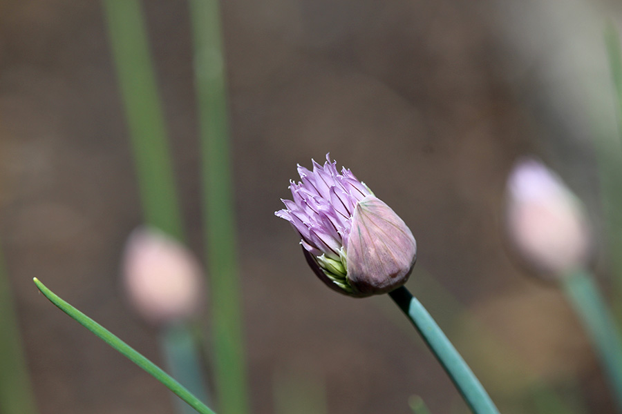 May-Gallery_6_900x600