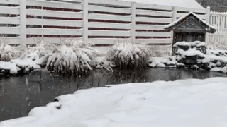 snowing-garden-pond-s