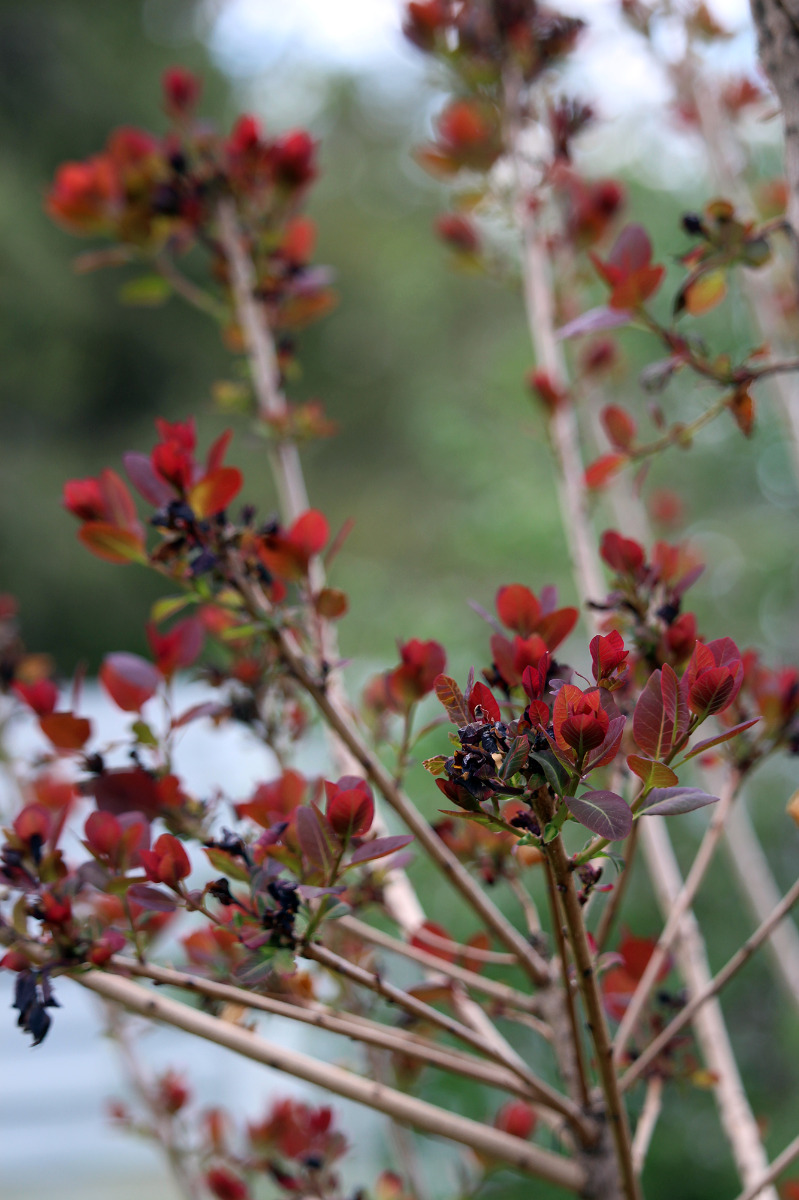 garden-gallery-May26_1x2