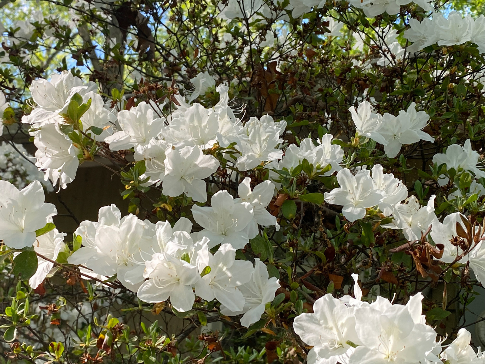 garden-gallery-May26_2x1-5