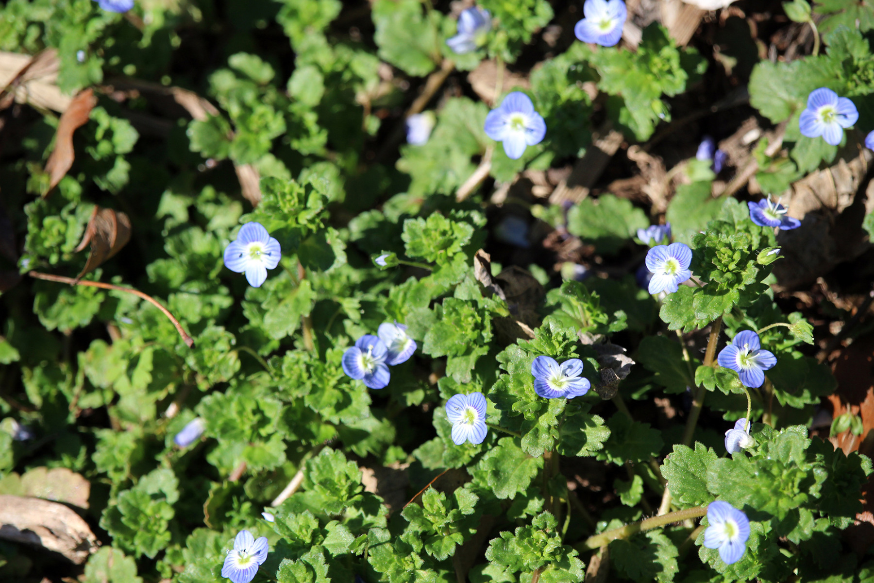 garden-gallery-May26_2x1-a