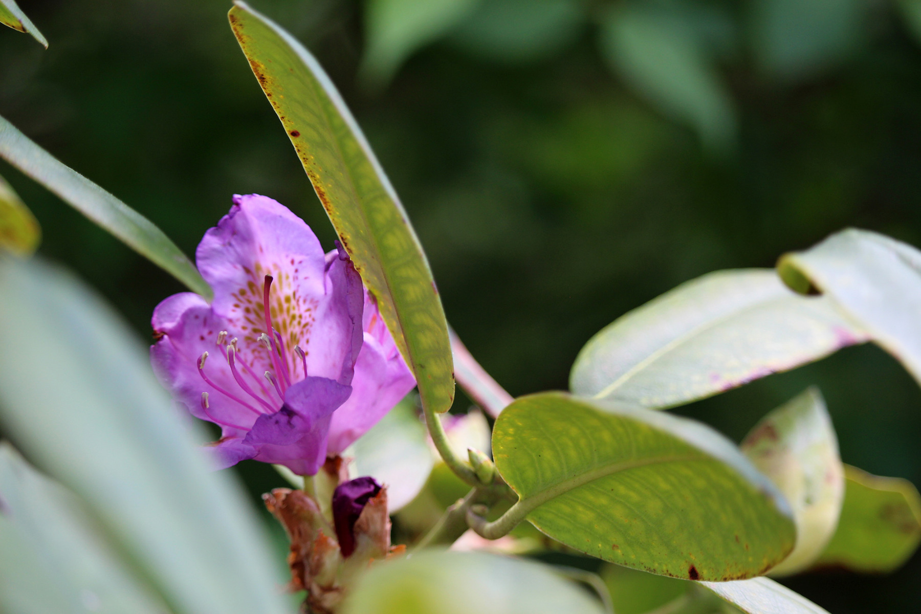 garden-gallery-May26_2x1-d