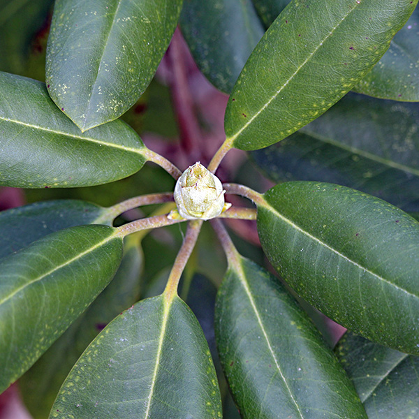 gallery-Autumn-2025_600x-h