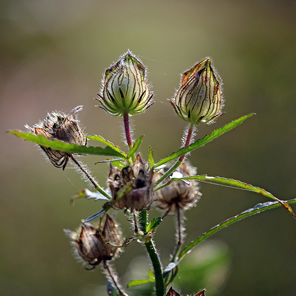 gallery-Autumn-2025_600x-m