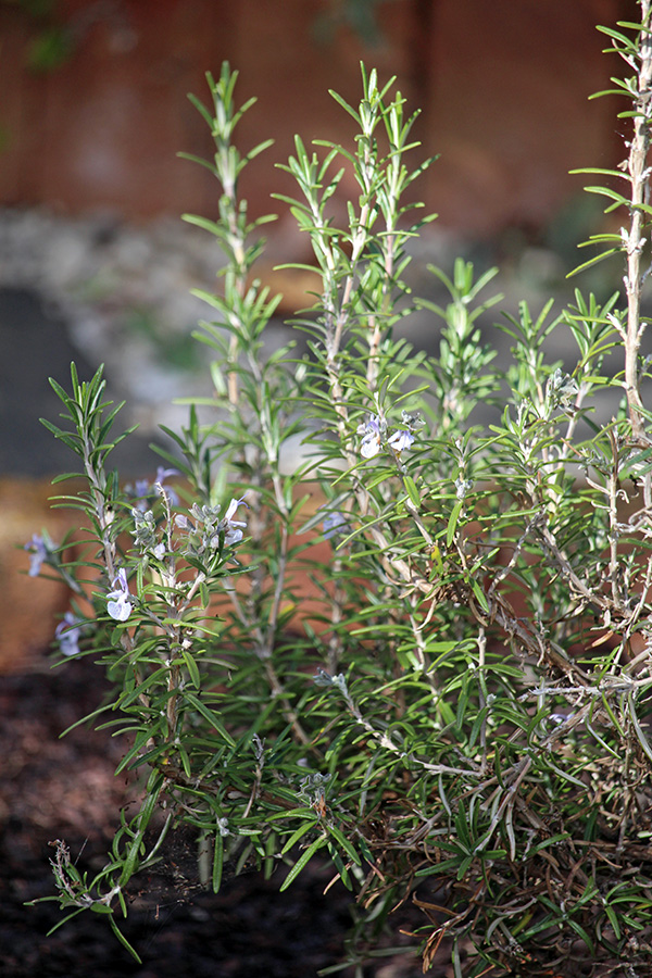 gallery-Autumn-2025_600x900-a