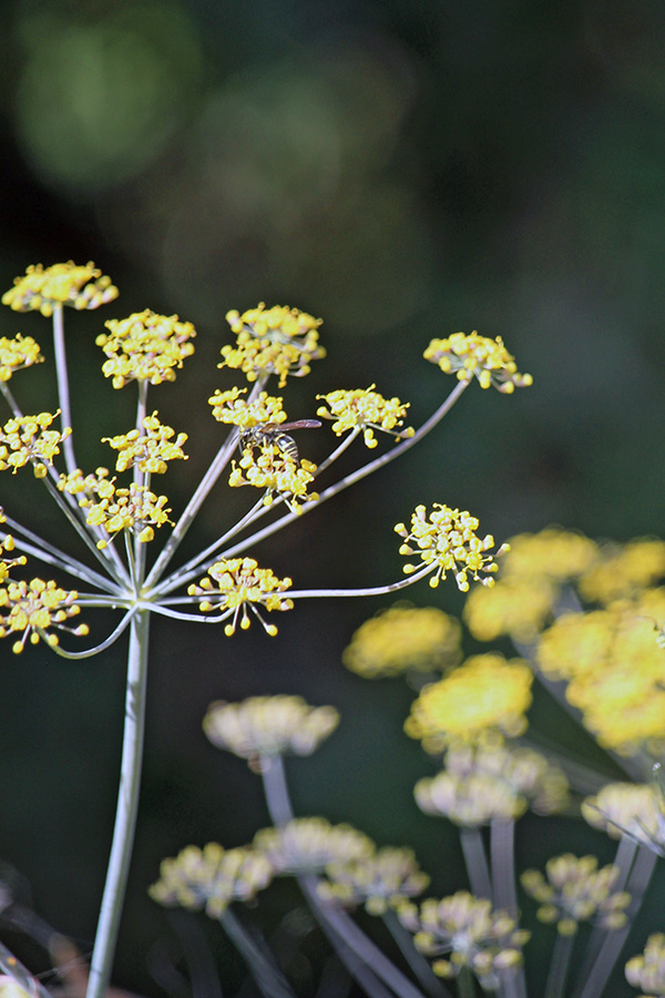 gallery-Autumn-2025_600x900-c