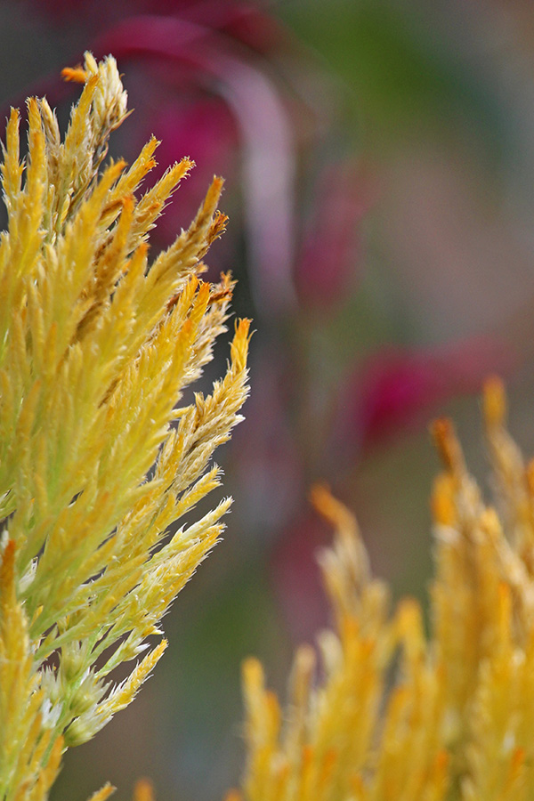 gallery-Autumn-2025_600x900-e