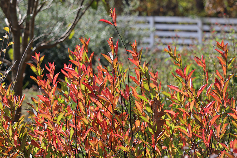 gallery-Autumn-2025_900x600-c