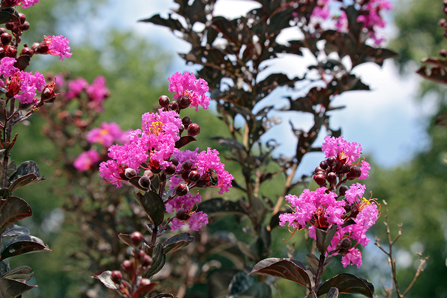 gallery-Autumn-2025_900x600-e