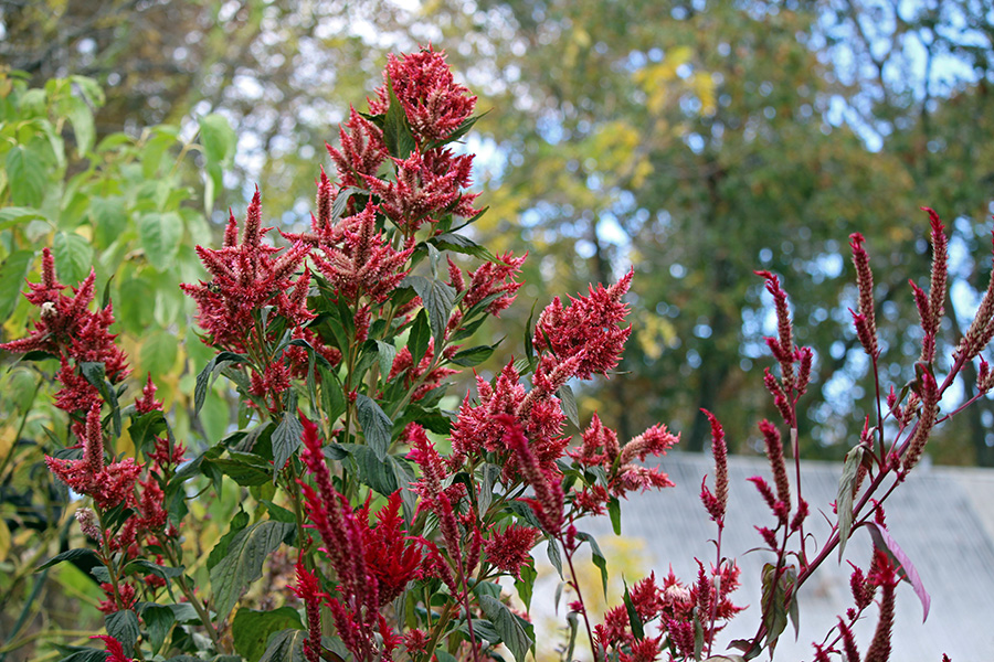 gallery-Autumn-2025_900x600-f