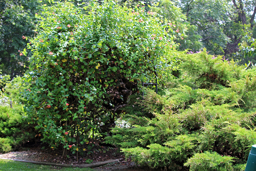 gallery-Autumn-2025_900x600-j