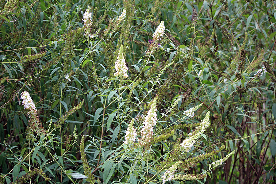 gallery-Autumn-2025_900x600-l