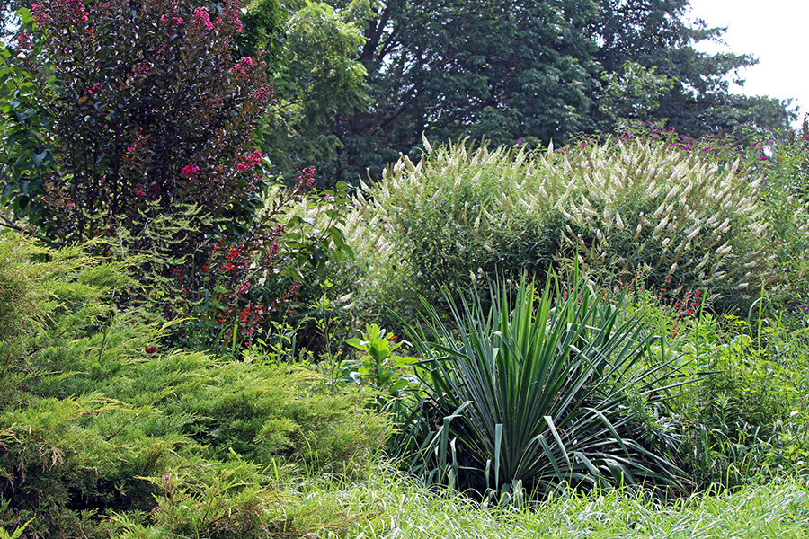 gallery-Autumn-2025_900x600-p