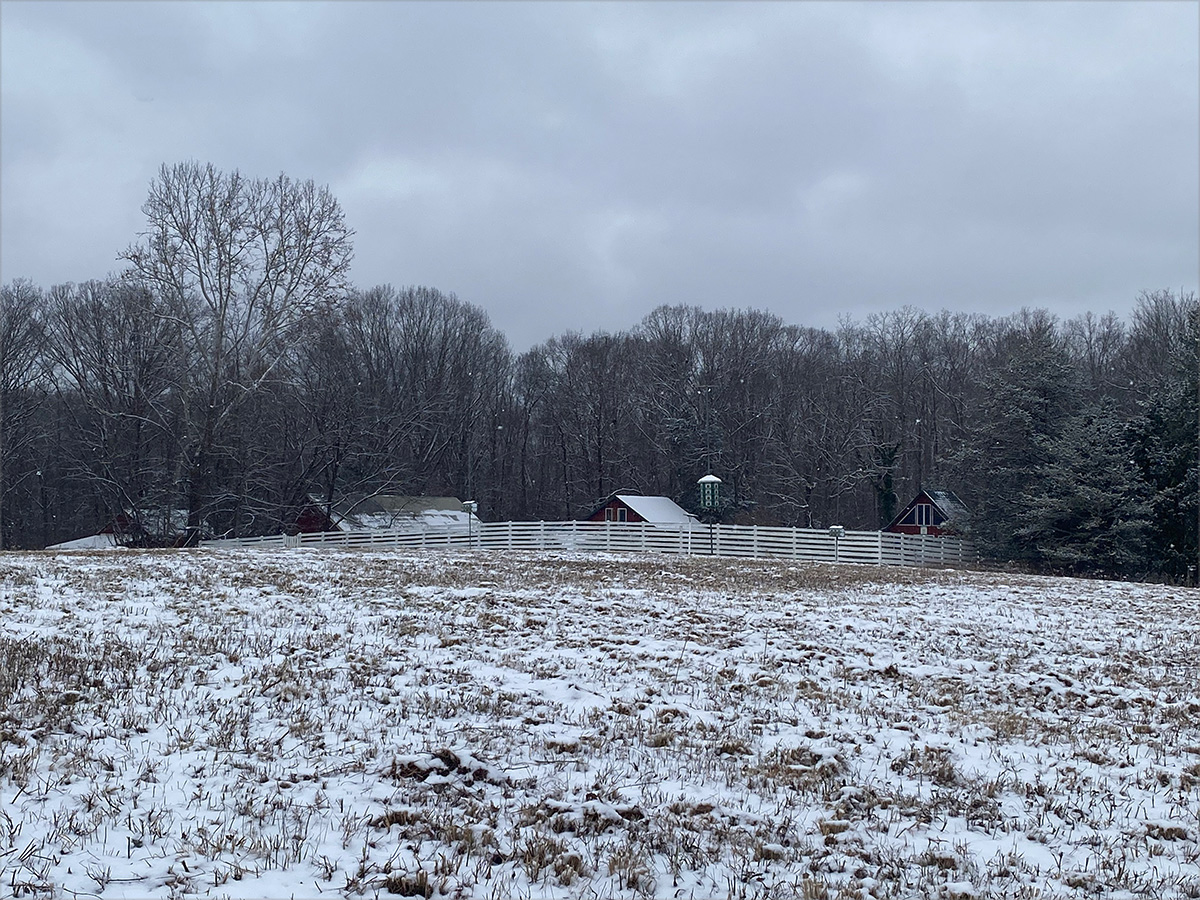 garden-gallery_Dec25-12x9-a