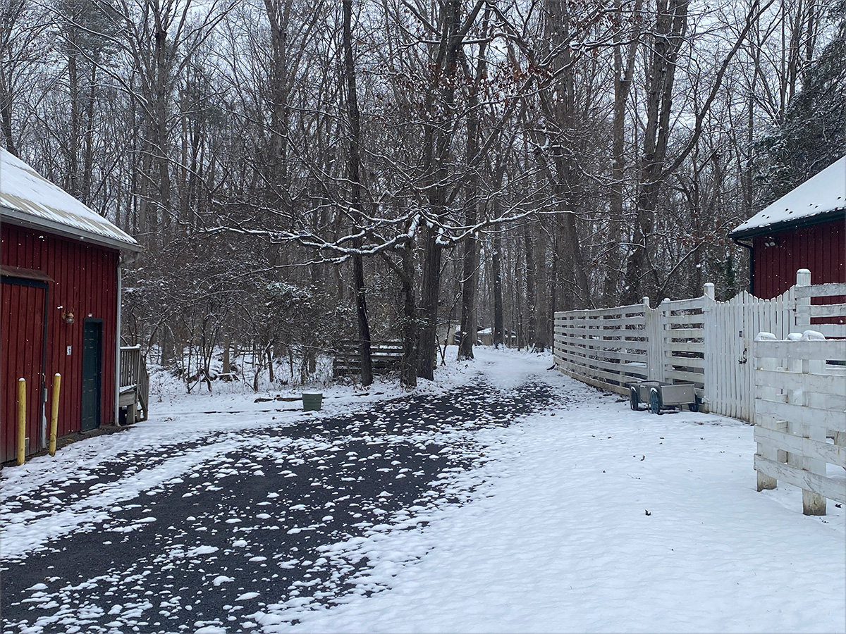 garden-gallery_Dec25-12x9-b