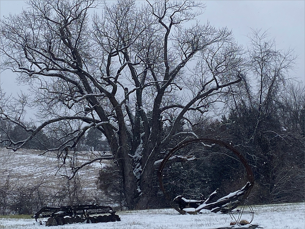 garden-gallery_Dec25-12x9-d