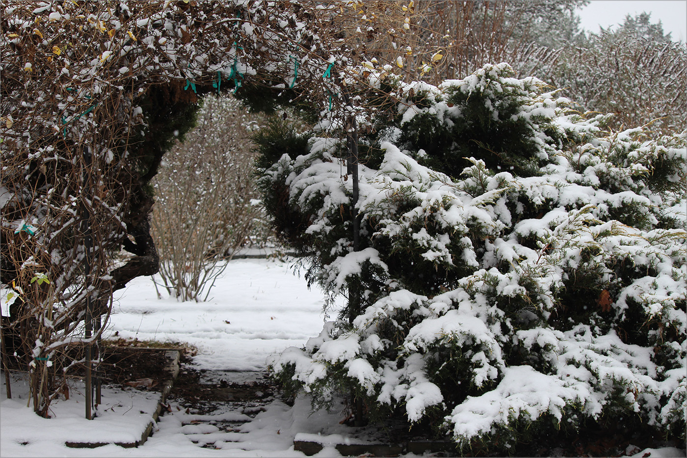 garden-gallery_Dec25-14x9-a