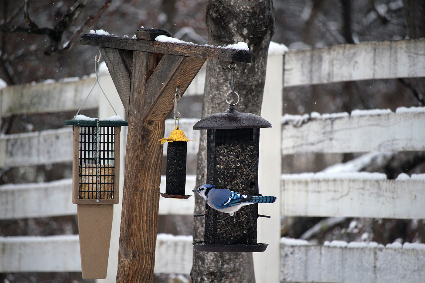 garden-gallery_Dec25-14x9-e