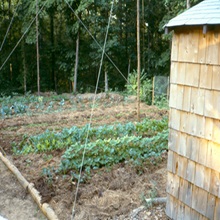 Original Location and Layout