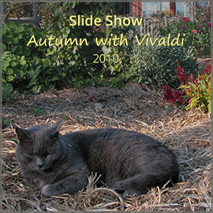 th_ss_autumn-Vivaldi_2010_300x
