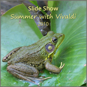 th_ss_summer-Vivaldi_2010_300x