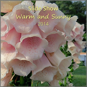 th_ss_warm-sunny_Dec14_300x