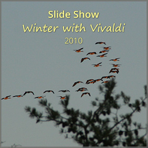 th_ss_winter-Vivaldi_2010_300x