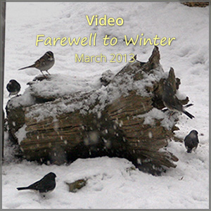 th_vo_farewell-winter_Jul23_300x