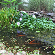 1b - & Activate Your DDP