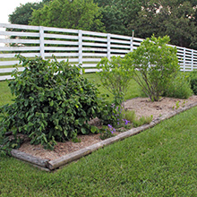 2a - Location, Shape & Size