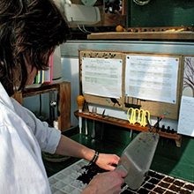 6 - Starting Seeds Indoors