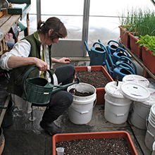 8a - Soil Prep & Fertilizing