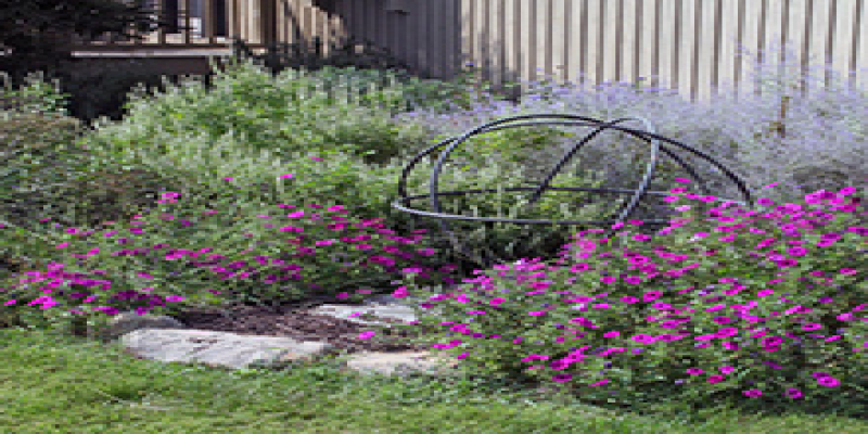 1a - Decide What You Want